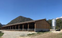 Construction d'un hangar agricole pour accueillir les cochons à la ferme du Lauzon - Montmaur