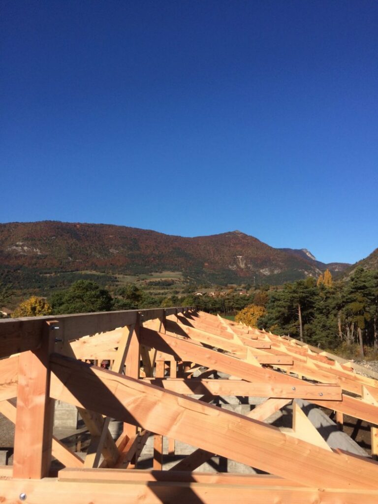 Sur la charpente - construction d'un hangar agricole en bois à la ferme du Lauzon